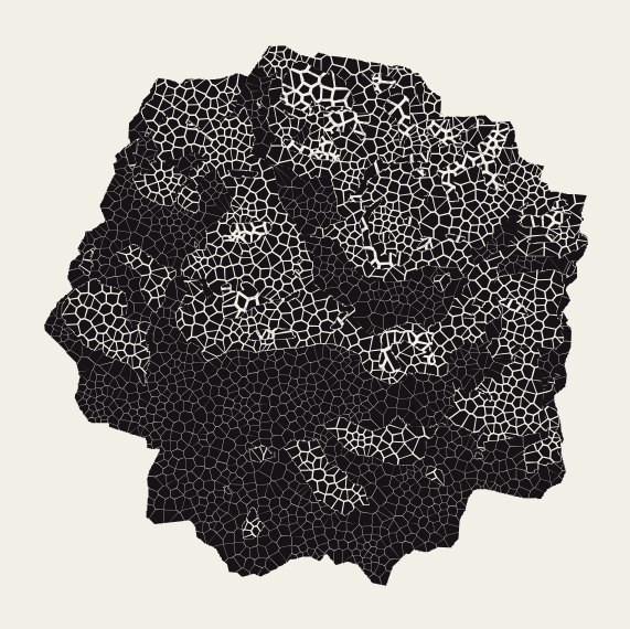 A 3D rock shaded with vector cells