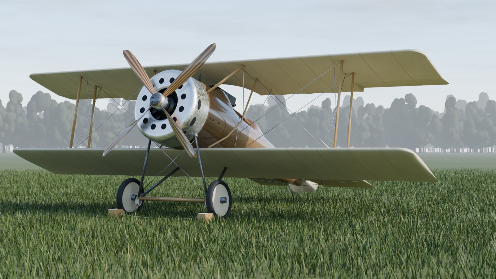 A biplane on a grass field, rendered with Scatter Camera